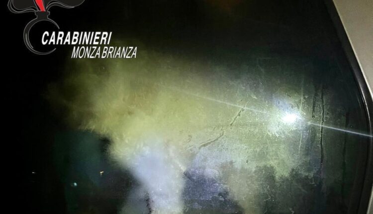 Albiate (MB), carabinieri salvano barboncino da assideramento