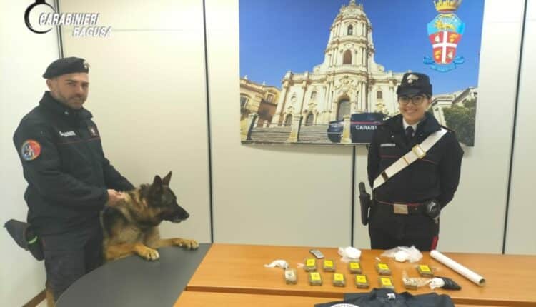 Watermark_20221228_085536_763