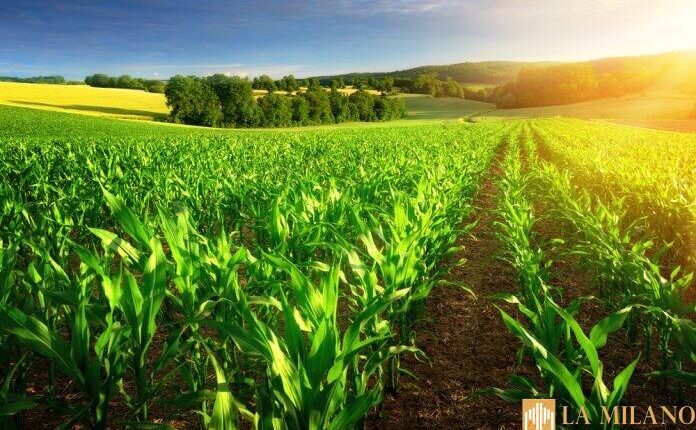 Emilia-Romagna, anticipati i pagamenti all'Agricoltura