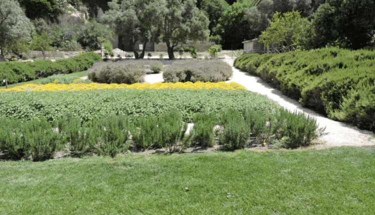 orto cappuccini cagliari