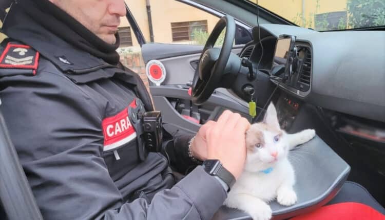 20230103 Foto CC Bologna