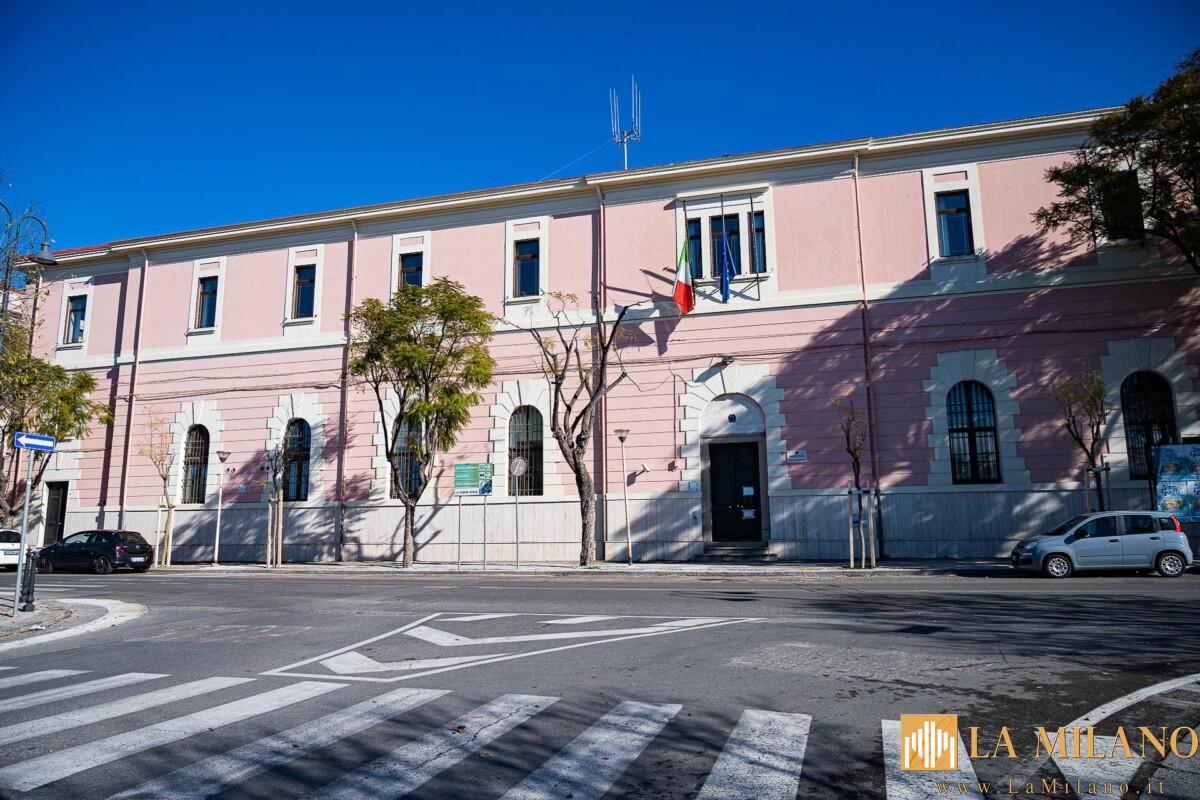 Cagliari, sei nuove piante Jacaranda nel viale Buoncammino.