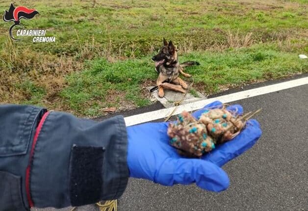 FOTO NR 2 DEI BOCCONI