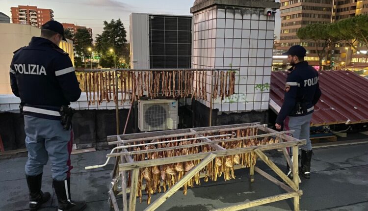 Ponte Milvio, San Basilio, e Fidene (RM): costante l'impegno della Polizia di Stato nel controllo del territorio con servizi dedicati definiti ad "Alto Impatto"