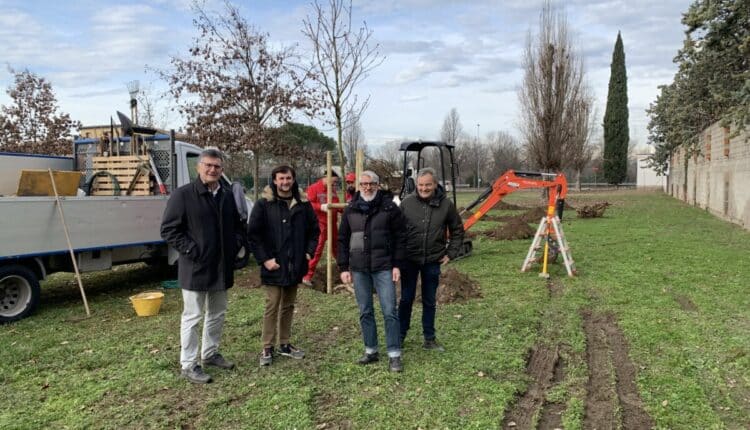 Piantumazioni_Pestrino_12_gennaio_2023