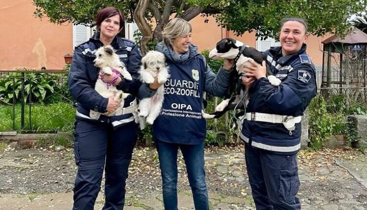 cuccioli sequestro la spezia