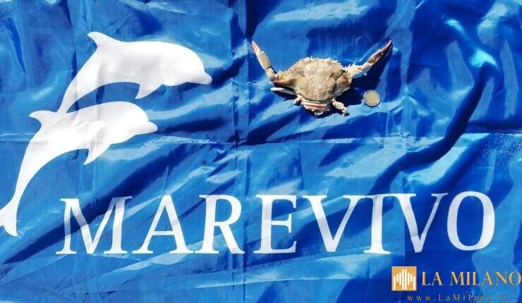 Bari, al via anche quest’anno il progetto di educazione ambientale di “NauticinBlu”.  