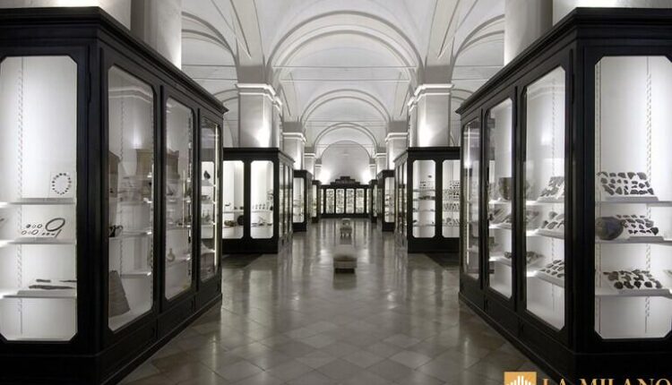 Modena, visita guidata al nuovo allestimento nel Museo Civico.