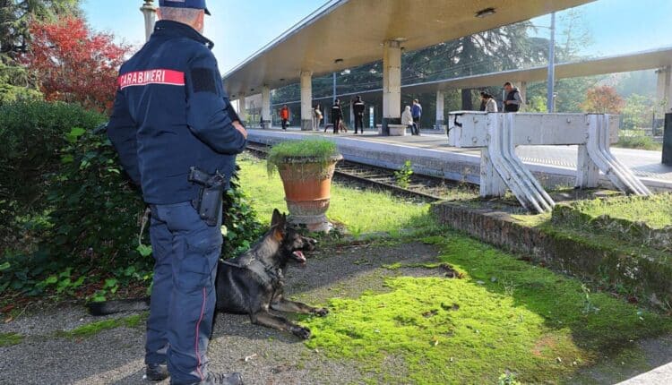 Bologna, cinquantenne attaccata dal suo cane si rifugia dai suoi vicini che chiamano i Carabinieri