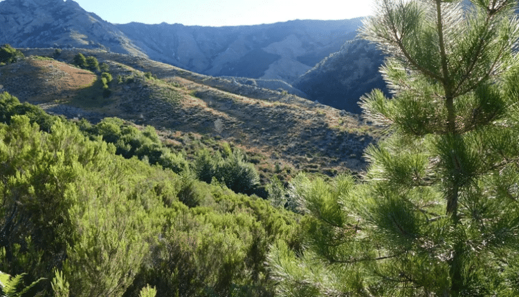 Siracusa, il merito del premio “Custode della macchia mediterranea”.