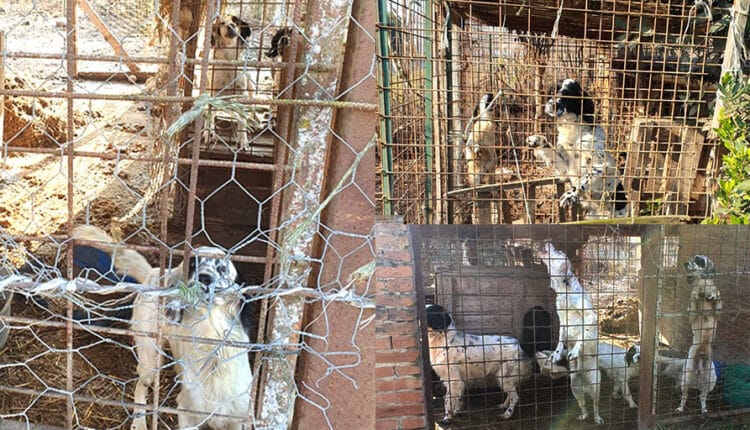 setter sequestro alessandria