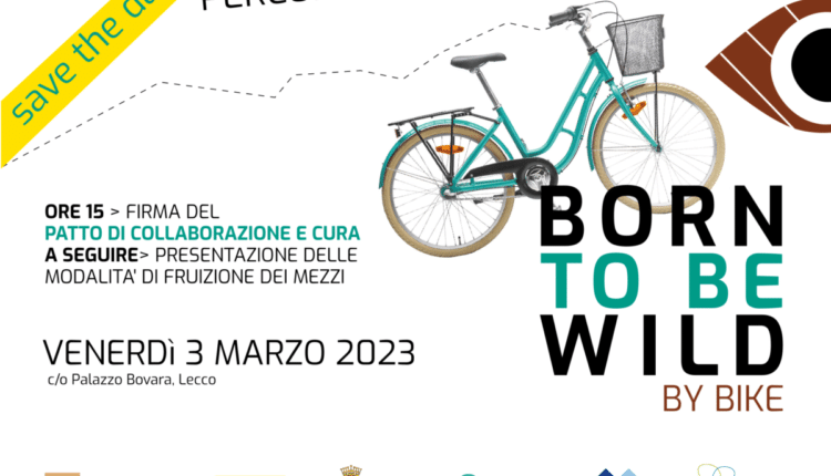 230303_born_wild_locandina