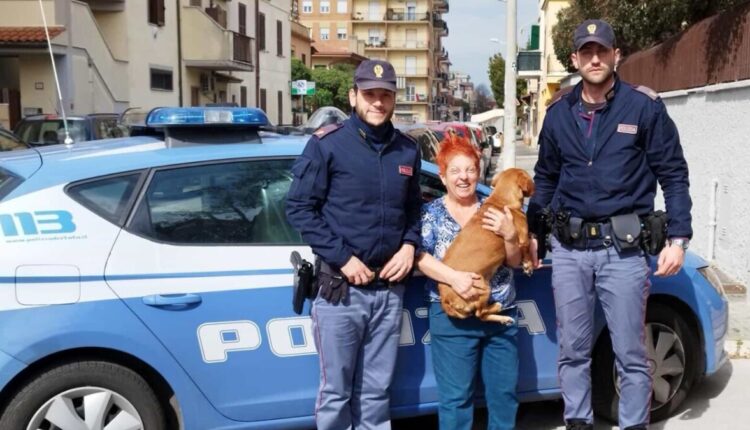 Ladispoli (RM), la Polizia di Stato ritrova un cane smarrito che si era allontanato da casa e lo riconsegna alla legittima proprietaria