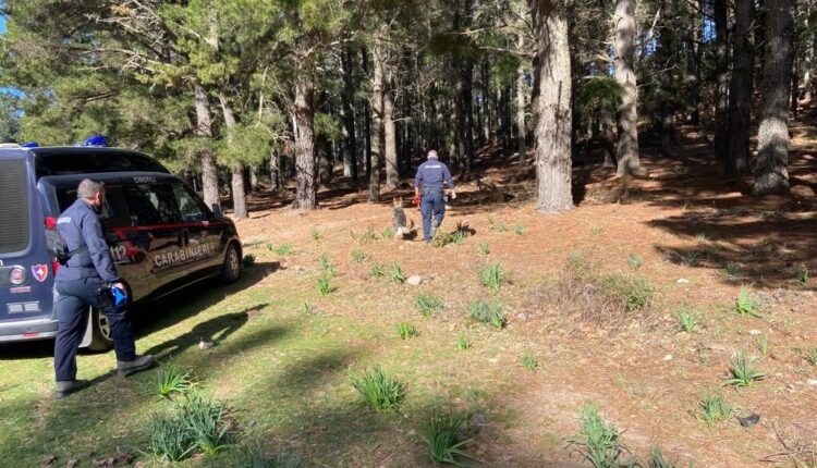 Nuoro: scomparso Sandro Arzu, proseguono le ricerche.