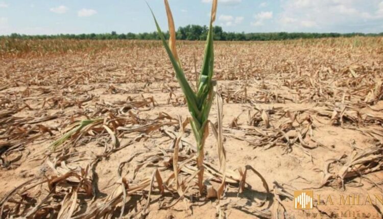Allarme siccità, il problema non riguarda solo l’Italia ma molti Paesi d’Europa.