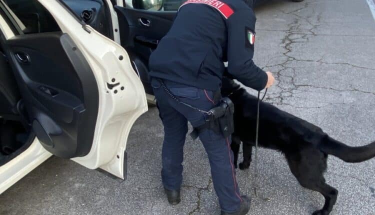 Siena, spaccio di sostanze stupefacenti: arrestate tre persone