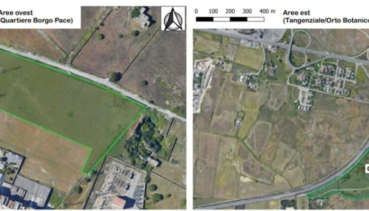 Lecce, forestazione urbana: finanziati con 350mila euro gli interventi a Borgo Pace e nel quartiere Stadio