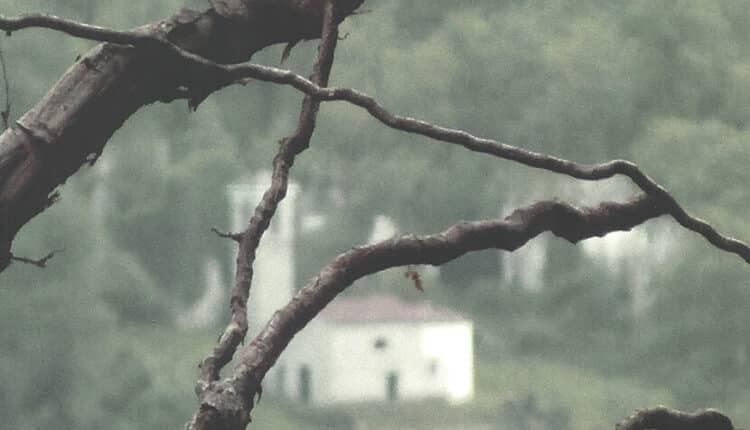 Trieste, presentazione del fotolibro “Palcoda” di Italo Zanier.