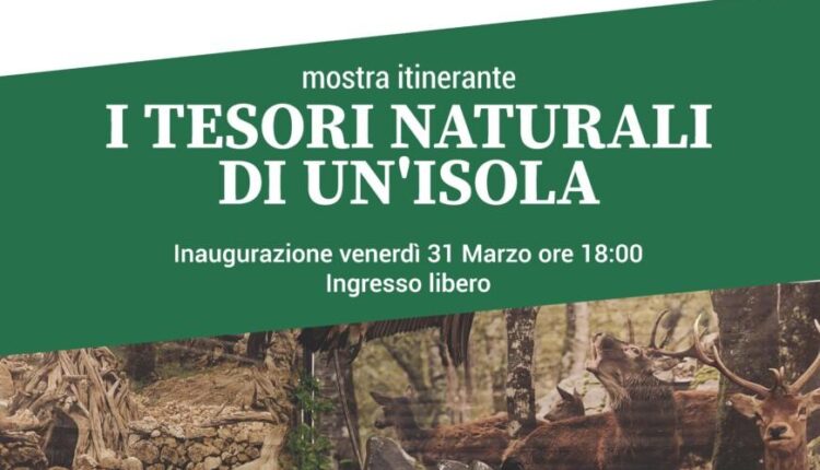 Oristano: “Sardegna foreste, i tesori naturali di un’isola" la mostra itinerante al Teatro San Martino
