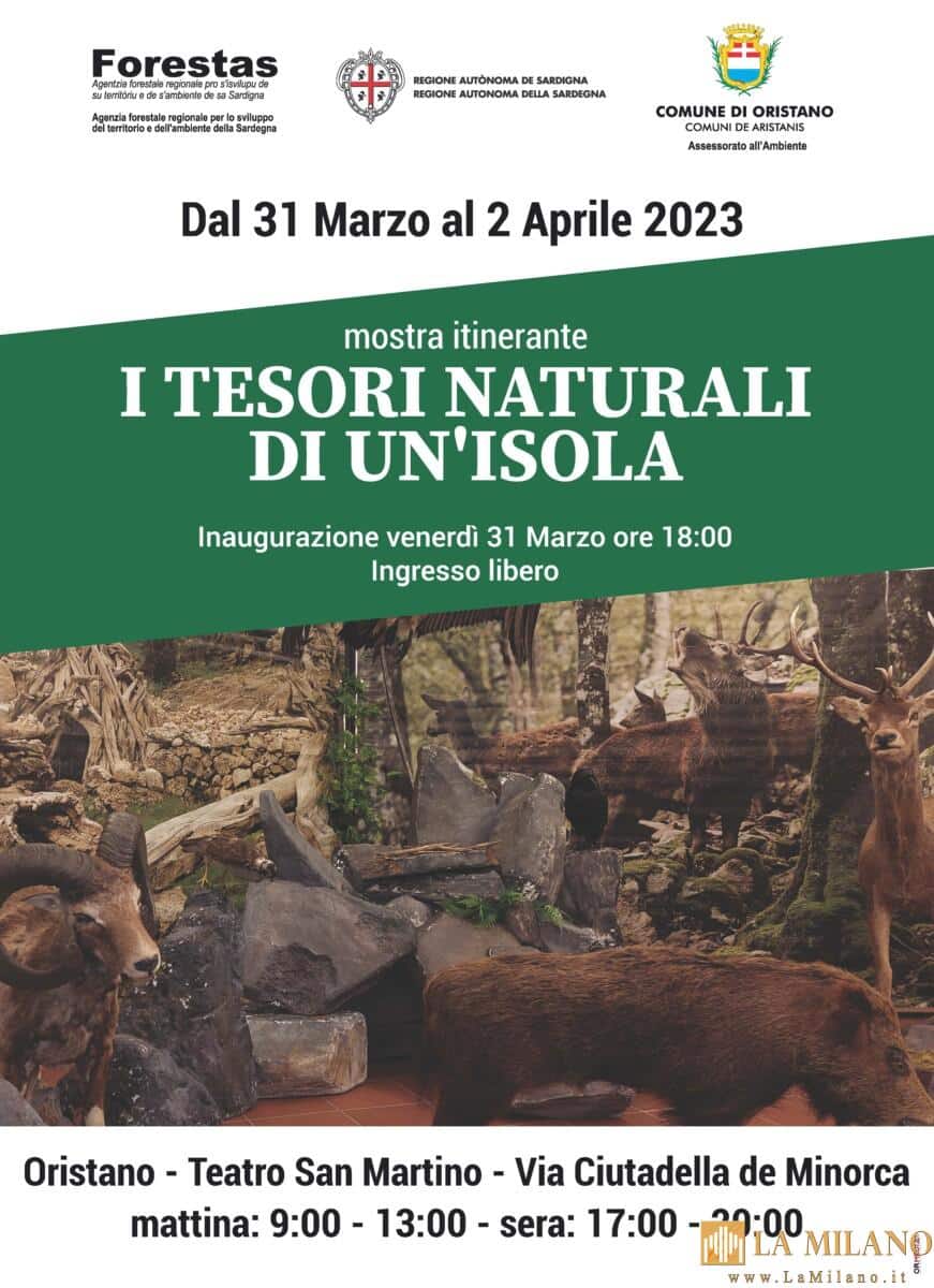 Oristano: “Sardegna foreste, i tesori naturali di un’isola" la mostra itinerante al Teatro San Martino