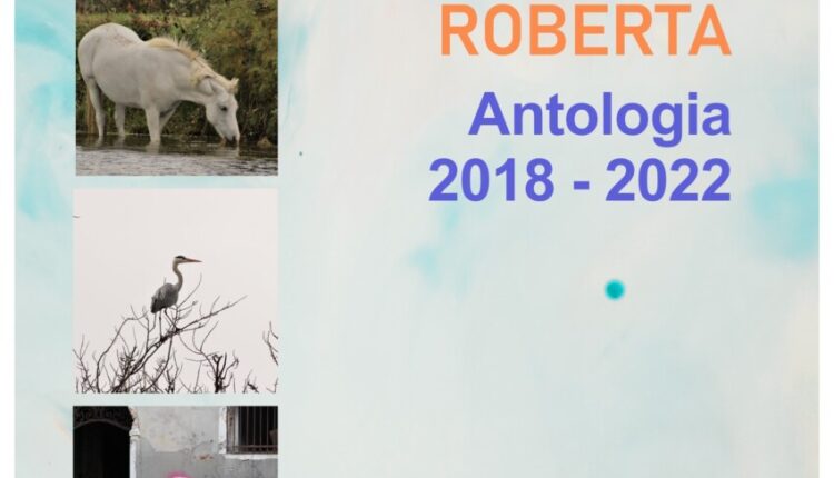 Rovigo: dal 4 al 14 marzo arriva al Circolo Arti Decorative la mostra di fotografie "Antologia 2018 - 2022" di Roberta Laurenti