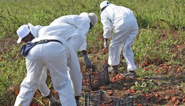 Migranti - Click Day