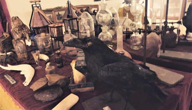 Siracusa: La collezione del naturalista e patriota Alessandro Rizza nell’antica biblioteca di Ortigia