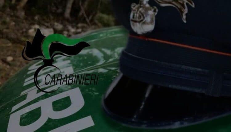 Delta del Po, prosegue senza sosta l'attività antibracconaggio ittico