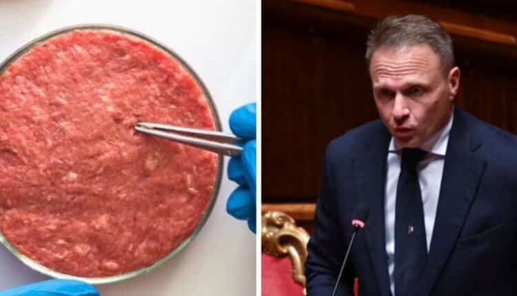 Lollobrigida, ministro dell’Agricoltura, della Sovranità alimentare e delle Foreste si esprime sul cibo sintetico.