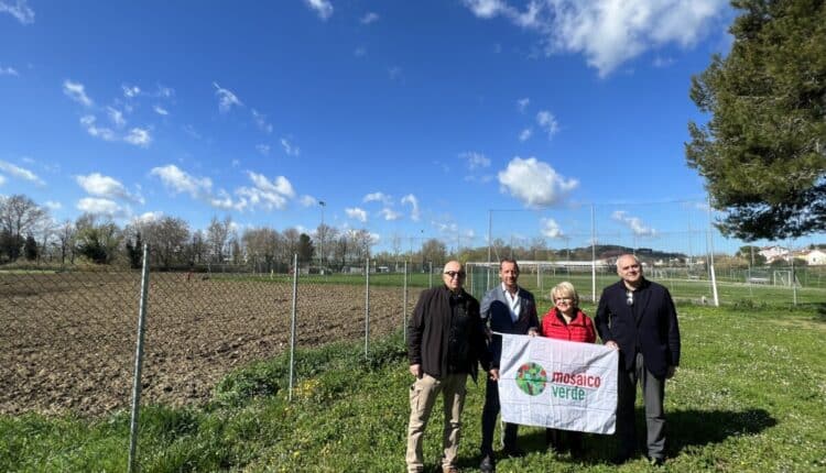 Pesaro, mille nuove piante in città: l’obiettivo è mitigare le emissioni di CO2.