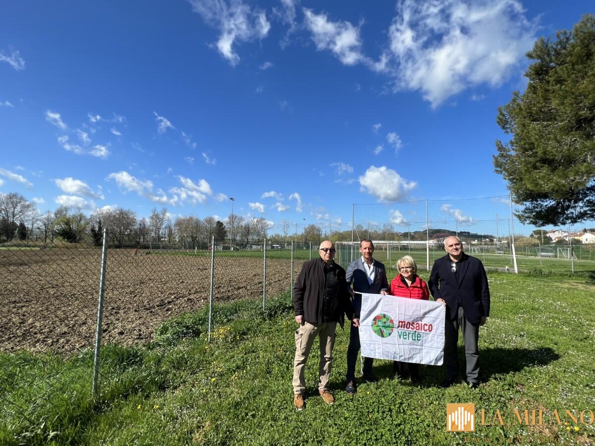 Pesaro, mille nuove piante in città: l’obiettivo è mitigare le emissioni di CO2.