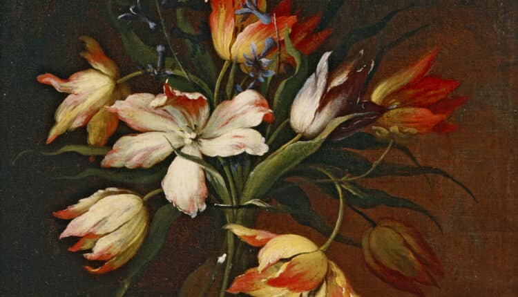 La Spezia: Riapre il chiostro storico del Museo Civico Amedeo Lia.