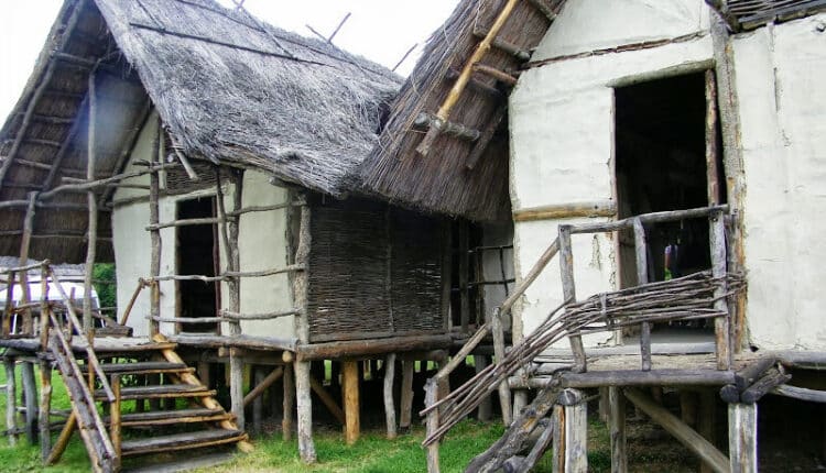 Modena: alla Terramara la tessitura in "un filo di storia".