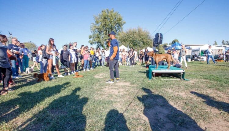 Milano: domenica 7 maggio all’Idroscalo arriva la “Pet Flower Parade”.