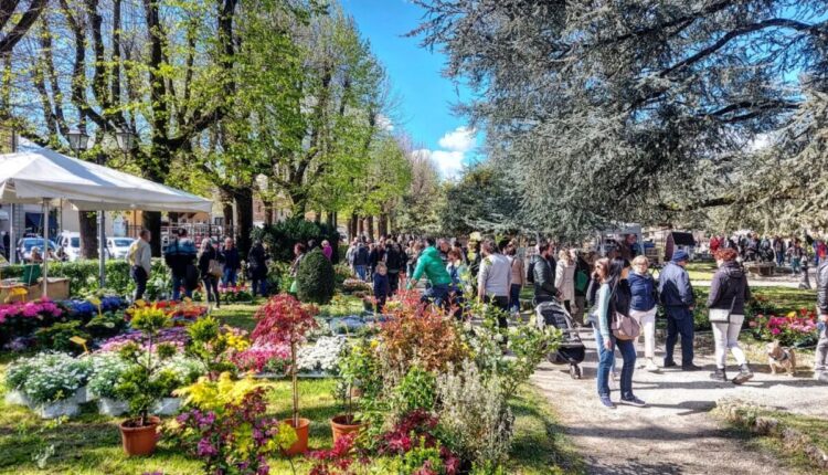 Firenze: Successo per la decima edizione di Fiorinfiera
