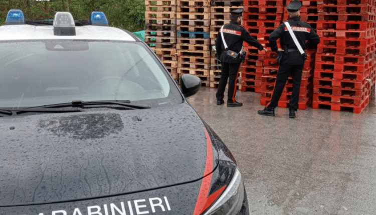 Udine, identificati i presunti autori di due truffe nell’ambito della vendita di pellet.