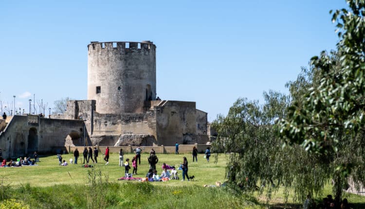 Lecce: Al Parco di Belloluogo, fra musica, animazione e visite guidate alla Torre per "Lu Riu"