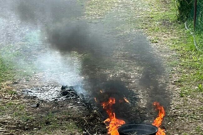 Capua, dà fuoco a rifiuti vegetali e a uno pneumatico in area boschiva: denunciato il responsabile.