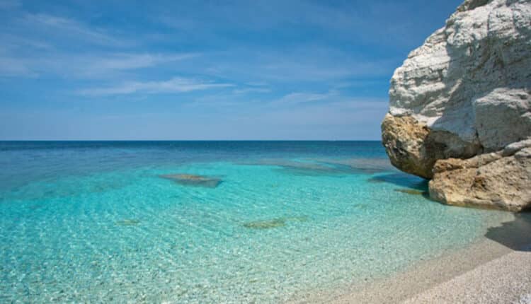 Grosseto: Dog Beach a Marina di Grosseto, approvato il progetto