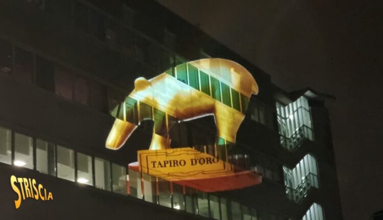 Tapiro gigante Stampa