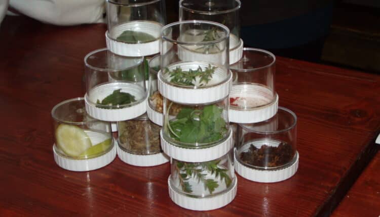 Modena: al Terramara laboratori sensoriali sugli antichi aromi