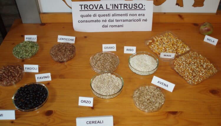 Modena: al Terramara laboratori sensoriali sugli antichi aromi