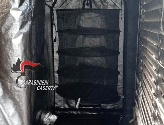 Sant’Arpino, odore di marijuana per le vie del centro: ventottenne coltiva le piantine sul balcone di casa.