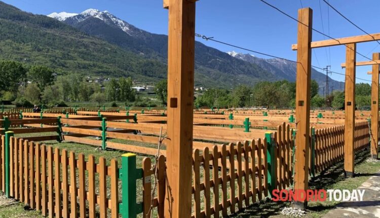 Sondrio: bando per l'assegnazione di orti sociali per famiglie