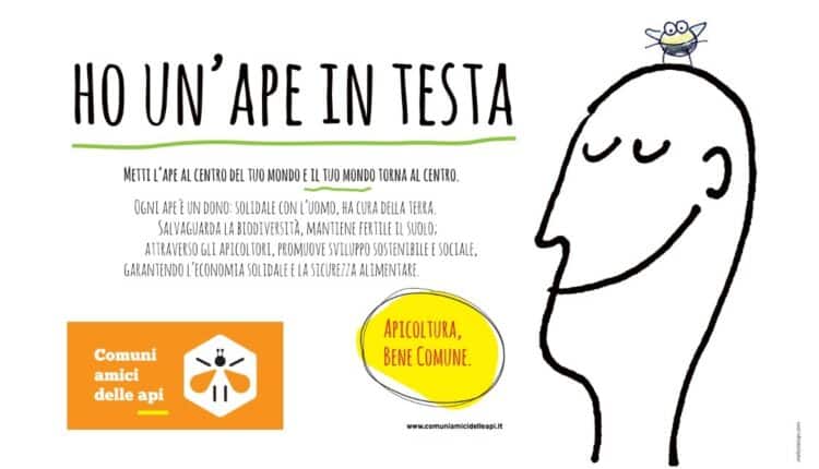 BeeTrento, le api diventano "markers ecologici" anti-inquinamento per la città.
