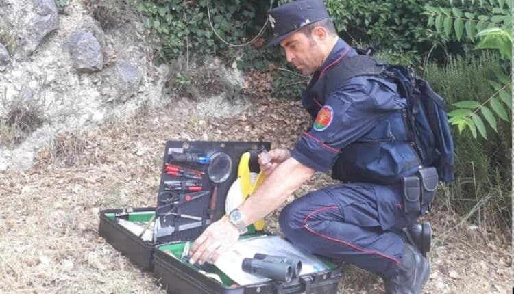 Incendi boschivi: i primi interventi dei Carabinieri Forestali nella provincia di Siena. Attenzione ai comportamenti a rischio nella stagione estiva