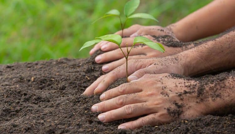 Milano: I suggerimenti del Garante del Suolo Verde Tutela, Biodiversità e Recupero del Territorio per il nuovo PGT
