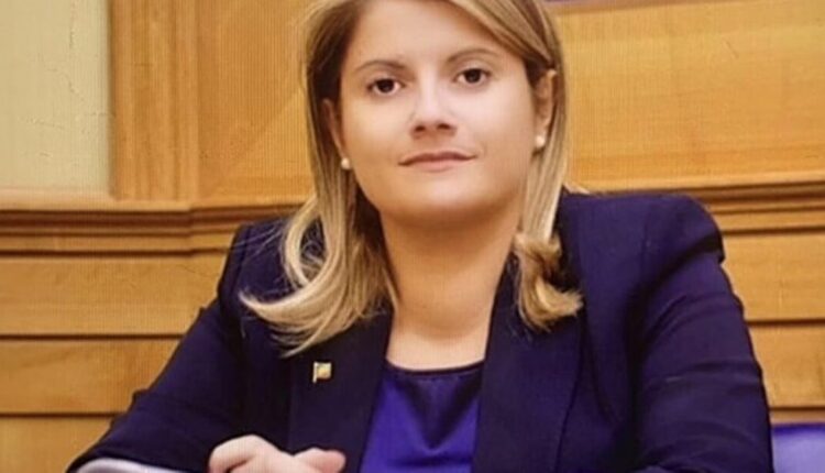 Incontro tra Tripodi e il Ministro di Stato agli Esteri della Germania