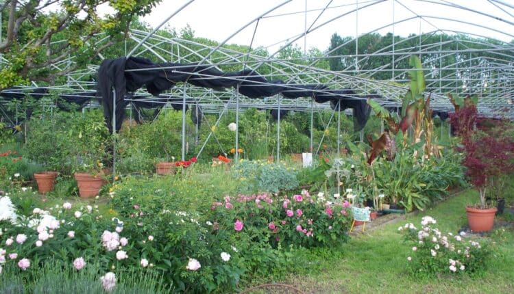 Milano: doppio appuntamento al museo botanico Aurelia Josz. 