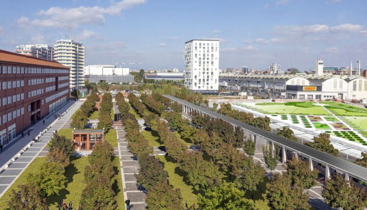 “Vivaio Bicocca”: affidati per 30 all’Università di Milano Bicocca seimila metri quadri di oasi urbana dedicata alla tutela della biodiversità